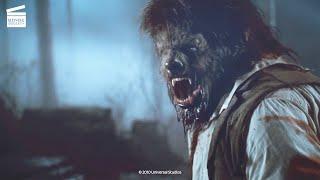 The Wolfman Lawrence transforms into a werewolf HD CLIP
