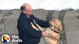 Dog And Mailman Have The Sweetest Relationship  The Dodo