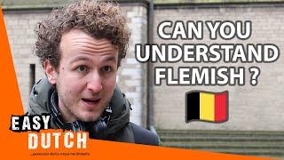 Do the Dutch Understand Flemish?  Easy Dutch 58