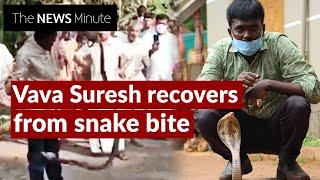 Vava Suresh discharged after snake bite to continue snake catching