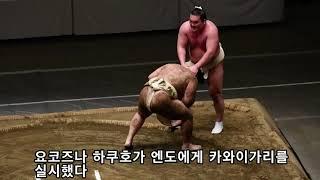 17세 소년 구타사망사건 - 스모의 검은 전통 카와이가리