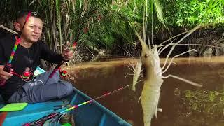 Prawn catching in river Fishing videos