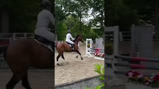 he gets me higher ️ #eventing #horse #equestrian #showjumping #ottb #thoroughbred