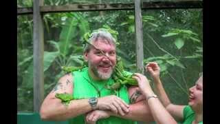 Green Iguana Conservation Project at the San Ignacio Resort Hotel Belize