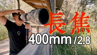 不仅“看起来牛X”：超级长焦400mmf2.8，用过才觉得好