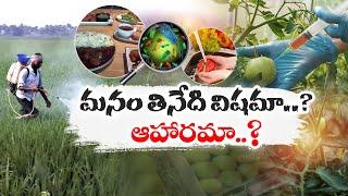 మనం తినేది విషమా? ఆహారమా?  Chemical Residues Increasing in Foods  Idi Sangathi