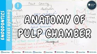 Anatomy of Pulp chamber and Root canal  Pulp cavity  Terminologies  Access opening  Dr Paridhi