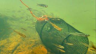 EPIC GOPRO UNDERWATER MINNOW TRAP