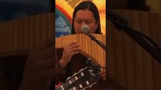 No Te Rindas - MANÁ cover by INKA GOLD #shorts #panflute #inkagoldmusic