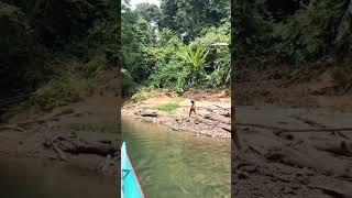 Gadis suku Dayak berburu di tepi sungai pedalaman hutan Kalimantan