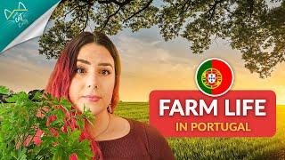 Farm Life in Portugal - Everything you need to know