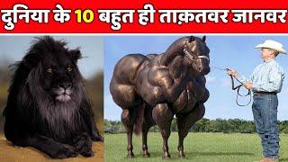 Duniya Ke 10 Sabse Takatwar Janwar  Top 10 Most Strongest And Powerful Animals In The World