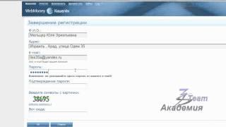 Как зарегистрироваться в системе WebMoney