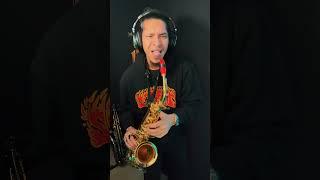 Saxl Rose - Intervals “Mnemonic” Sax Cover