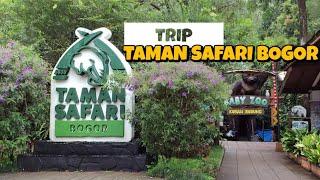 SEHARIAN DI TAMAN SAFARI BOGOR 2024 - KEREN DAN SERU