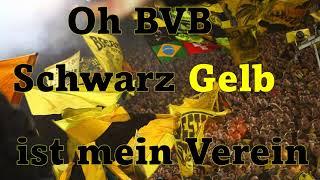 Fangesang mit Text Oh BVB Schwarz Gelb...