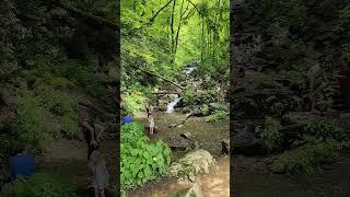 Water Streams Newfound Gap Tennessee 441