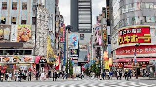 Is Shinjuku’s Kabukicho a Tokyo Must-Visit Spot 2023