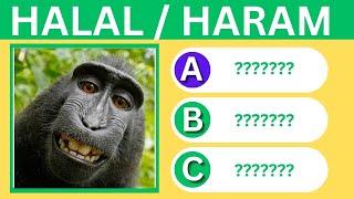 Islamic Quiz   Haram or Halal Animals To Eat?    no music