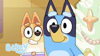  Live Bluey Series 2 Full Episodes