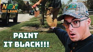 How to Use N-Ext™ RGS & humic12 to FIX NEW Seeded Spots in lawn N-Ext™ DIY Lawn Care Tips