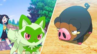 LikoSprigatito vs Lechonk  Mel - Poison  Pokemon Horizons Episode 9  Pokemon 2023 Episode 9 AMV