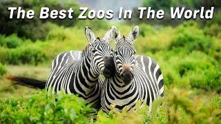 These Are The Best Zoos In The World
