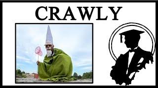 Meet Crawly The Green Wizard Gnome At The Mall
