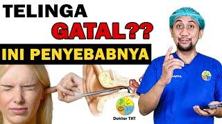 Telinga Gatal?? Simak Video Ini  Dokter THT