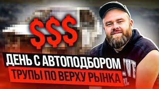 Трупы по верху рынка День с автоподбором #саняпоможет