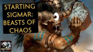 Starting Sigmar Beasts of Chaos 3rd Edition