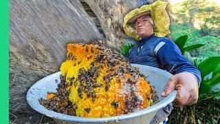 Surviving Nepal Street Food Tribes & Mad Honey