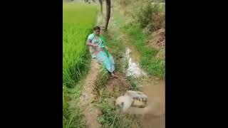 Agriculture Indian Technique Desi jugad Useful