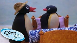 Pingu and Pinga Dont Want to Go to Bed  Pingu Official  1 Hour  Cartoons for Kids