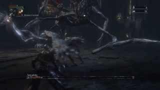 Bloodborne - Defiled Chalice Amygdala No Damage - Waste of Skin LVL 4