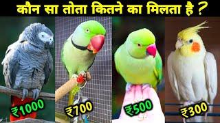 Parrot Prices in India  कौन सा तोता कितने का मिलता है ?