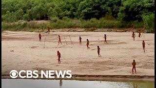 Video shows reclusive tribe searching for food on beach in the Amazon