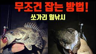 쏘가리 웜낚시 방법 핵심 3가지 #쏘가리 #루어낚시 #낚시