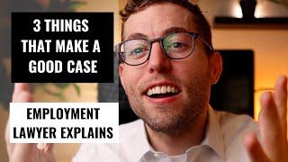 Three Things That Make a Good Employment Case