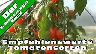 Empfehlenswerte Tomatensorten im Hobbygarten