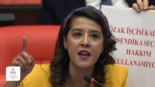 SES Yılın Kadınları 2023 EMEP Gaziantep Milletvekili Sevda Karaca