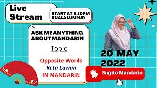 Belajar buat ayat dalam Mandarin Kata lawan. Belajar secara live disini.