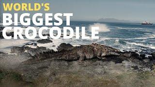 Worlds Biggest Crocodile Found in Ocean Resident Evil Netflix