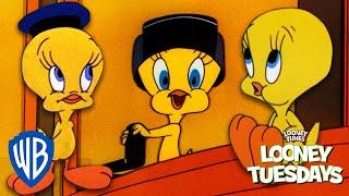 Looney Tuesdays  Top 10 Cutest Moments from Tweety Bird   Looney Tunes  @WB Kids