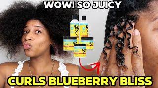 NEW CURLS Blueberry Bliss Type 4 Hair Twist out  LOVE my results