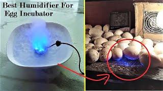 Best Humidifier For Egg Incubator  Humidity maker for Homemade egg incubators