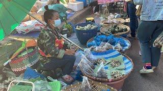 ตลาดนัดของป่า ริมโขงธาตุพนม