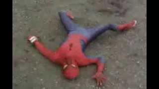 world martial arts champion spiderman