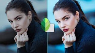 Snapseed Beginner Tutorial  Android and iPhone