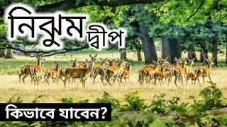 নিঝুম দ্বীপ হরিণের খোঁজে।Nijhum dwip.নিঝুম দ্বীপ ভ্রমন।Mahadi hasan afnan